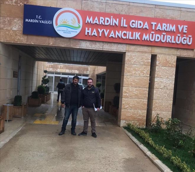 Mardinli girişimciler çim sektörüne adım attı