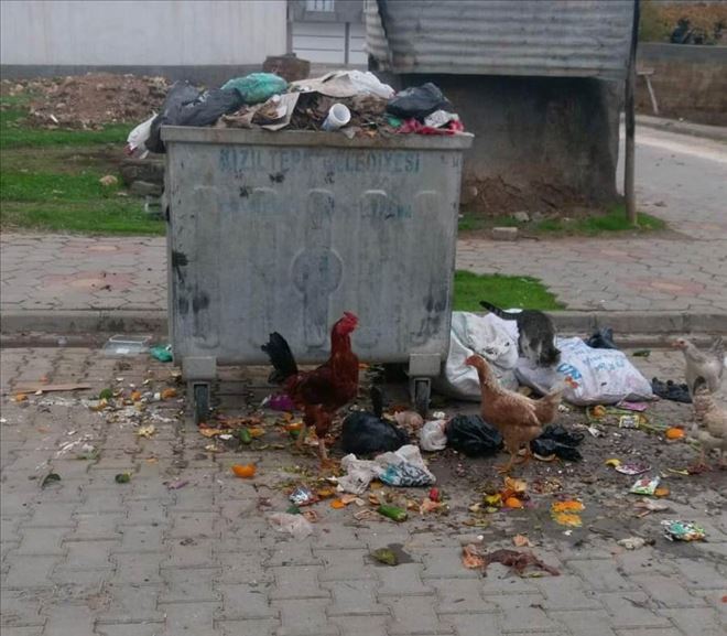 Turgut Özel Mahallesinde çöpler toplanmıyor iddiası