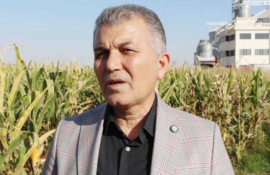 Çiftçiler mısır ekemeyince ülkenin milli üreticileri kaybetti ithalat lobisi kazandı