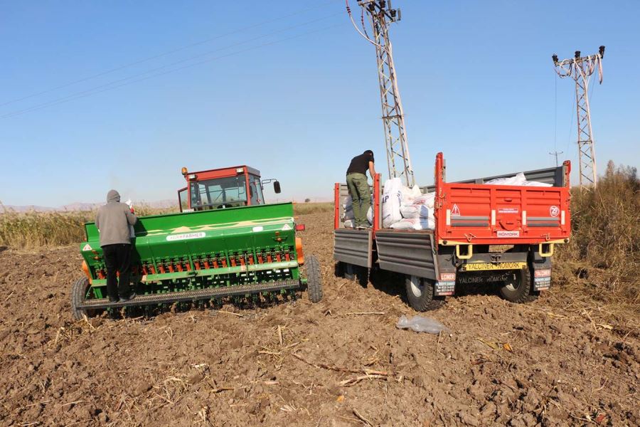 Çiftçilerin buğday ekim mesaisi yüksek girdi maliyetleri gölgesinde devam ediyor