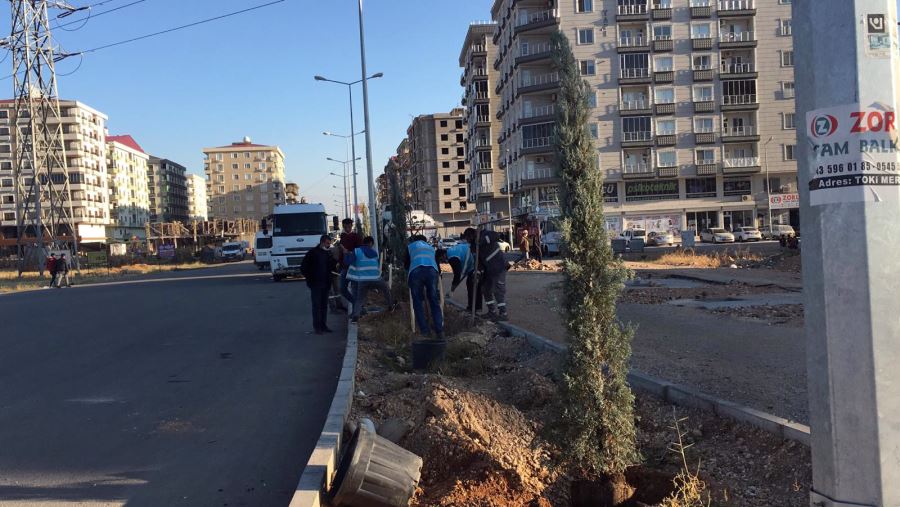 Mardin Büyükşehir Belediyesi, yeşil bir kent için çalışmalarına başladı