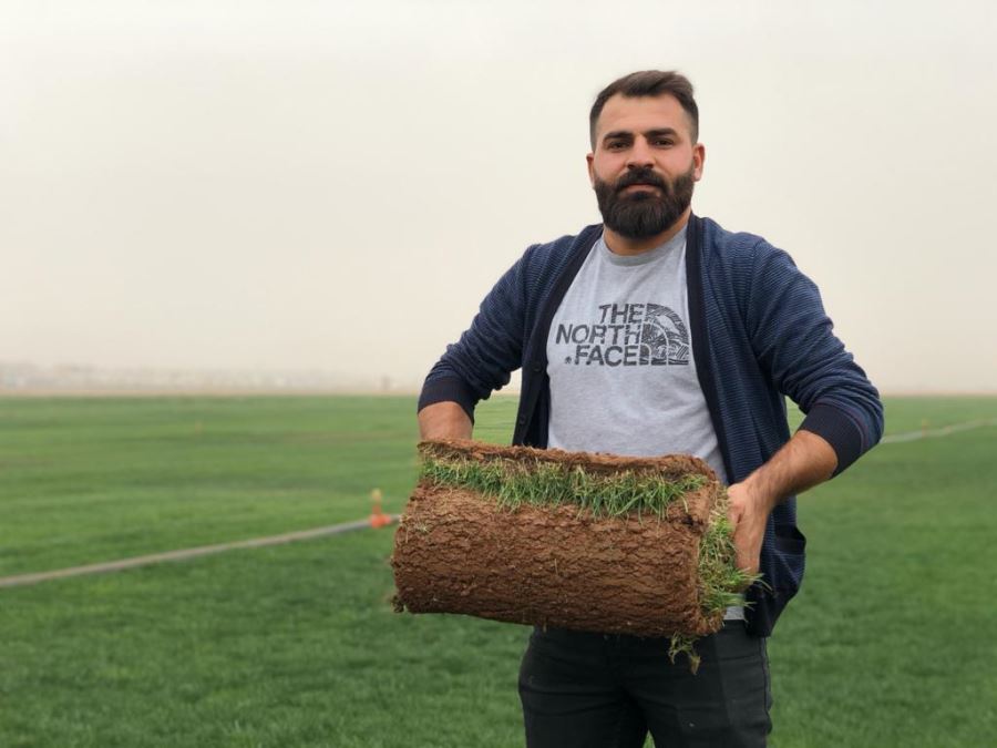 Nakliye ücretinden kurtulmak için Mardin’de çim üretti, ihracata başladı