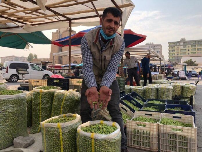 Kızıltepe’de zeytin satıcılarının yer çilesi bitmiyor