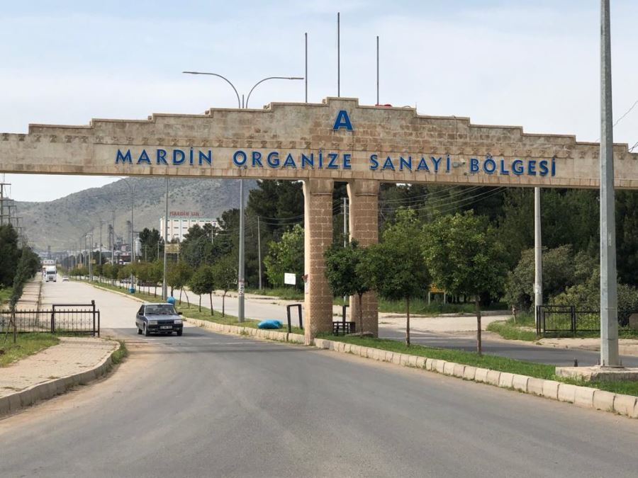 Mardin organizede tırın altında kalan sürücü hayatını kaybetti