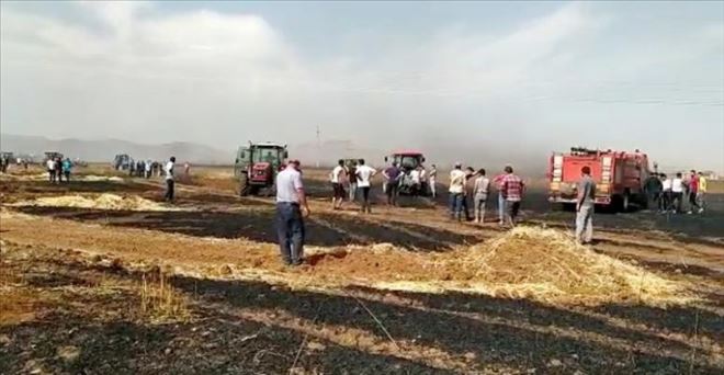 600 dönüm buğday ekili tarla küle döndü
