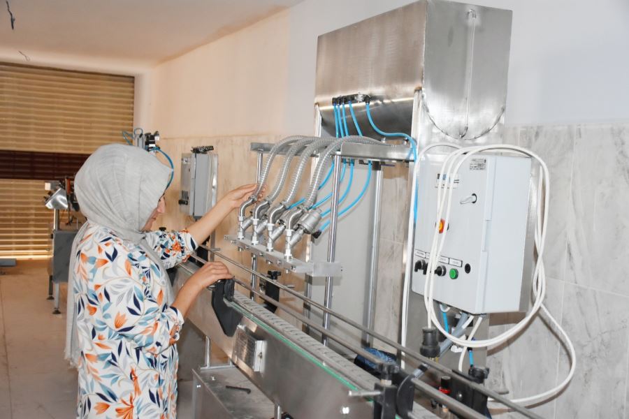 Dargeçit’te kadınların işleteceği Mezrone üzümü işleme tesisi kuruluyor