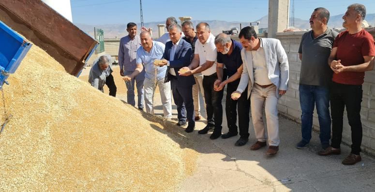 Kızıltepe’de yeni ürün Buğday’ın hasadı gerçekleştirildi