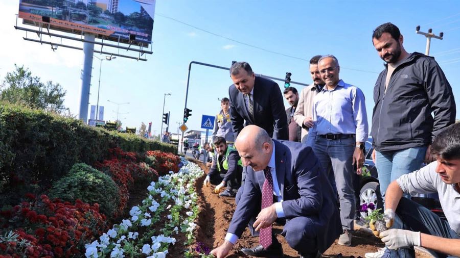 Mardin Büyükşehir Belediyesi’nde yeşillendirme çalışmaları