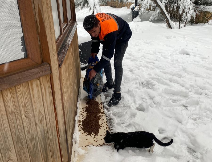 Mardin Büyükşehir Belediyesi karda sokak hayvanlarını unutmadı