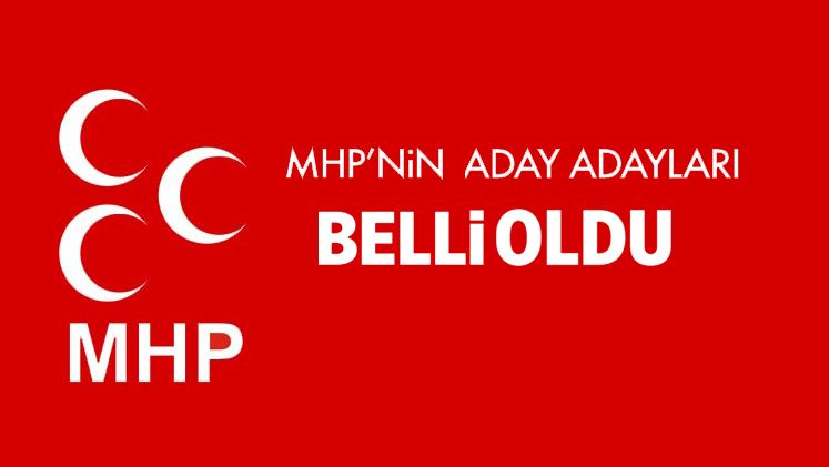 MHP Mardin milletvekili aday adayları belli oldu