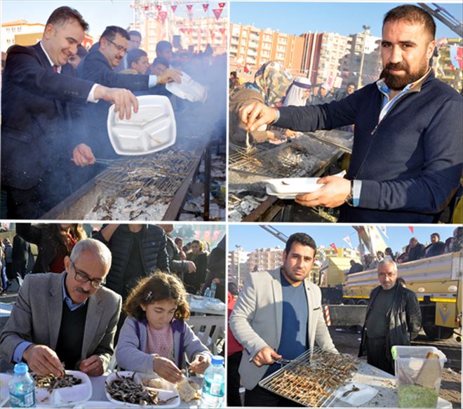 Kızıltepe´de Hamsi Şöleni Düzenlendi