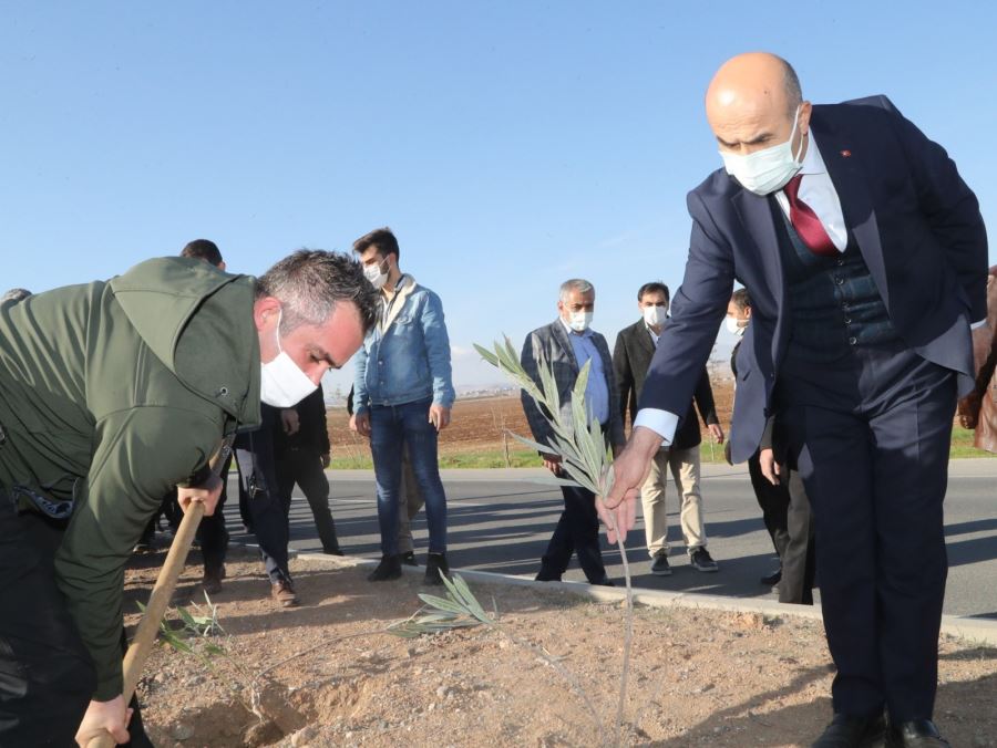 Vali Demirtaş, ağaçlandırma etkinliğine katıldı