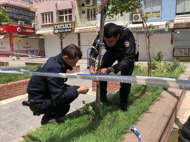 Rüzgardan eğilen ağaç, polisin eliyle sağlamlaştı