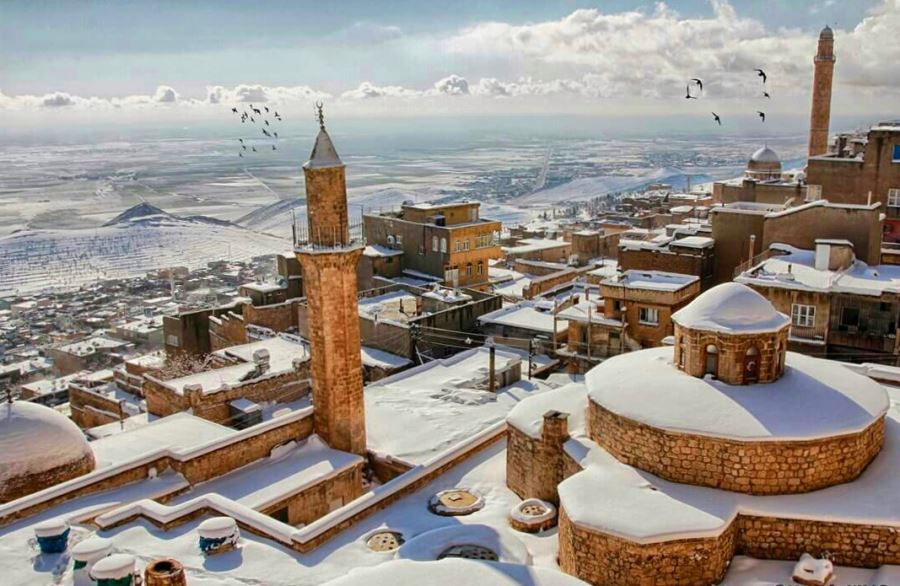 Mardin için zirai don uyarısı