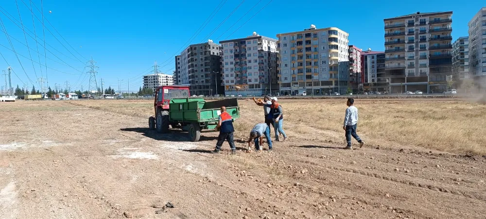 Büyük Meyve Bahçesi İçin Çalışmalara Başlandı