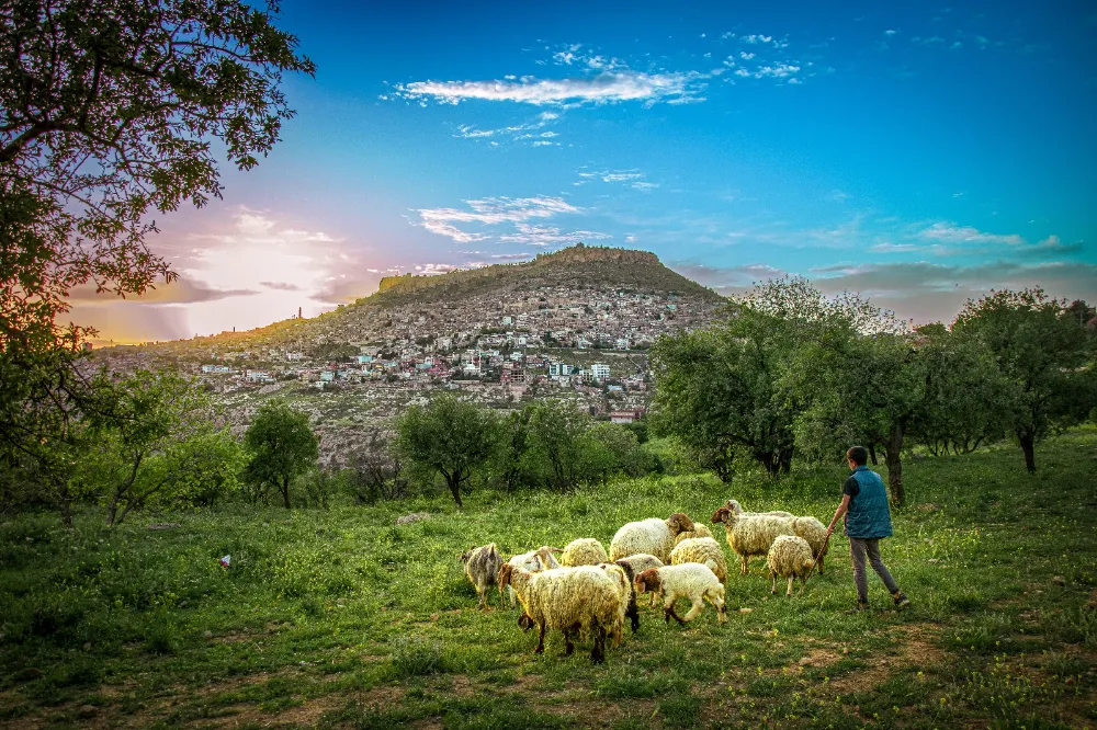 Mardin’de II. Uluslararası Mezopotamya Turizm Kongresi Yapılacak