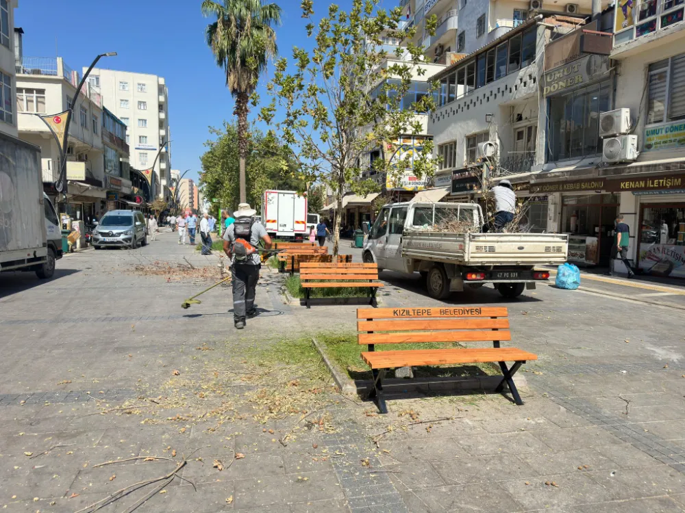 Cadde ve parklara oturma bankları yerleştiriliyor